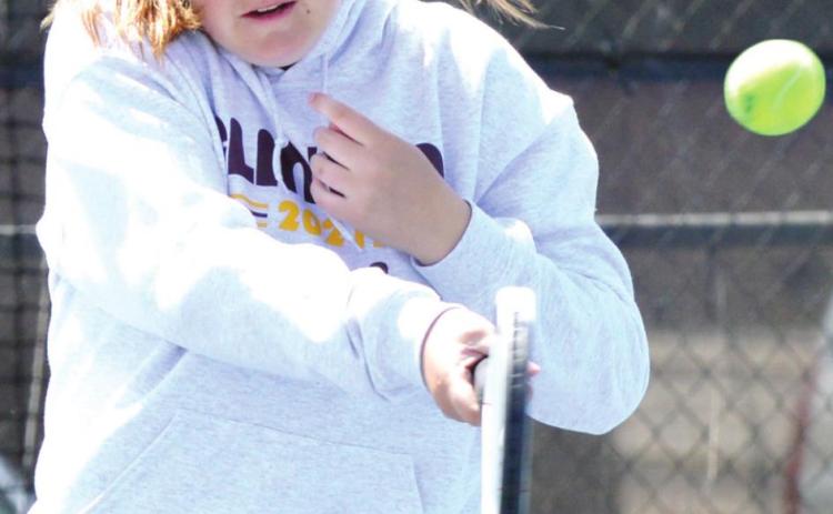 Clinton sees solid placers at Elk City