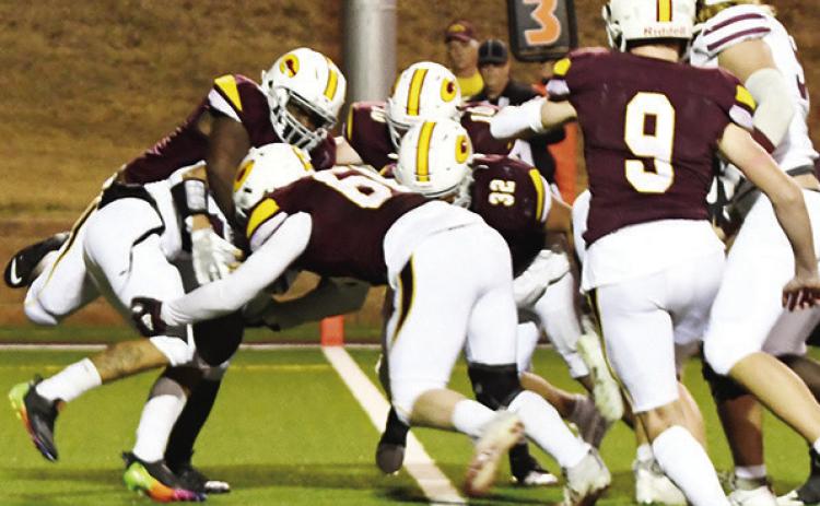 Red Tornadoes put up a fight in final game