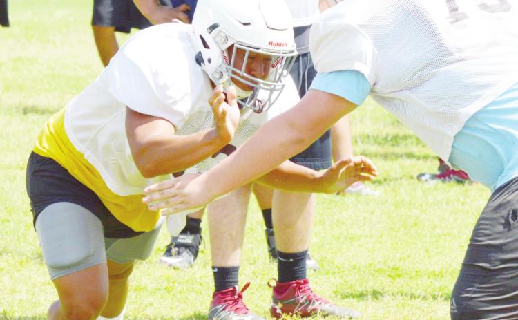 Nguyen brings scrappy mentality