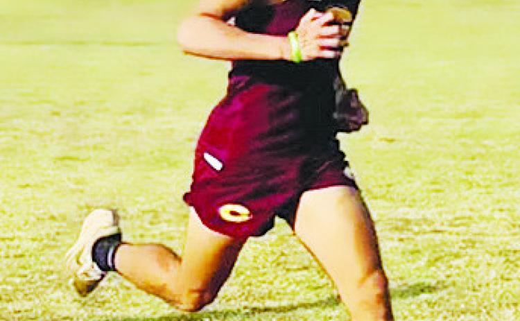 Clinton begins new cross country season with medals