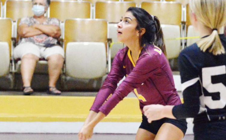 Meraz’s reps increase as senior