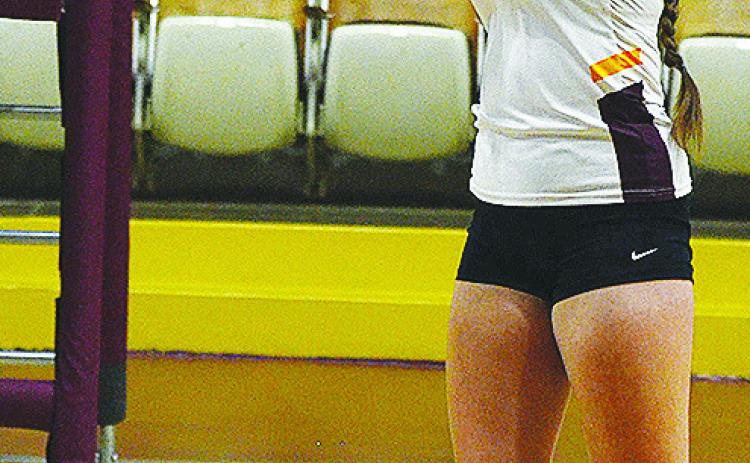Foreign exchange student enjoying lone year of volleyball