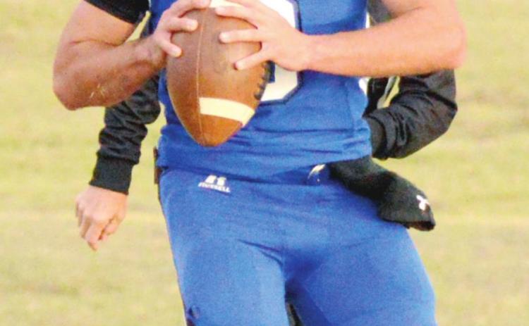 Area teams end year