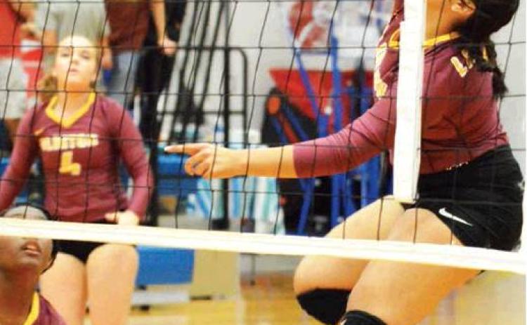 Acosta’s work leads to solid CHS volleyball career