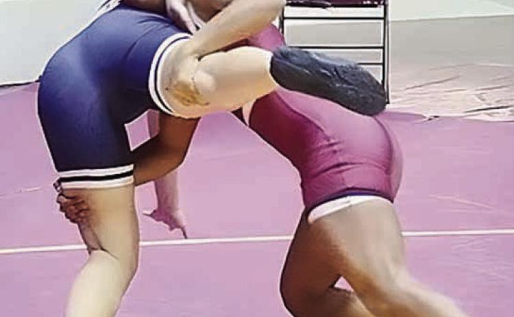 Lady Reds wrestling has successful first year