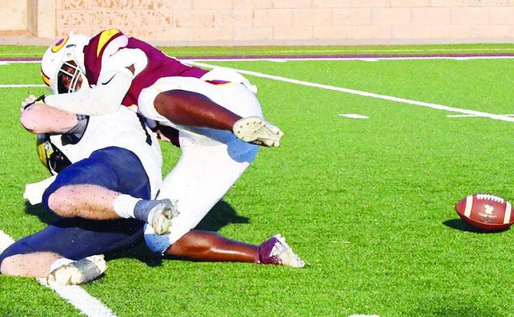Strip sack