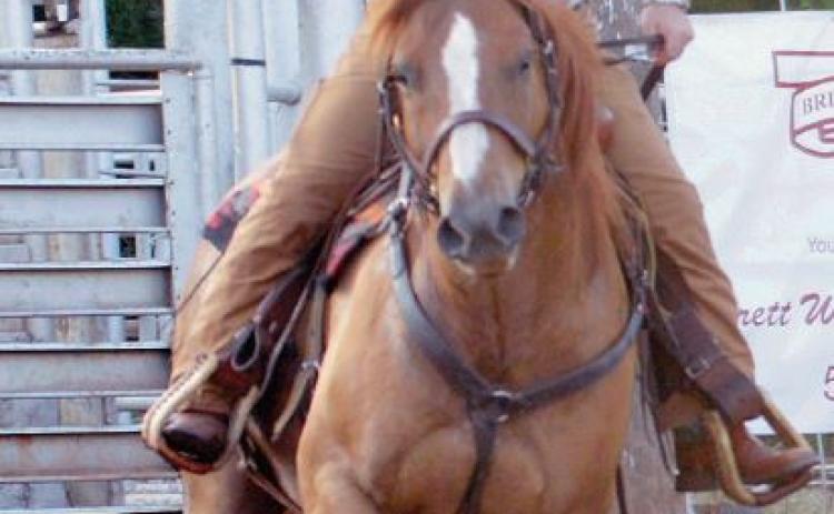 Riding in the rodeo