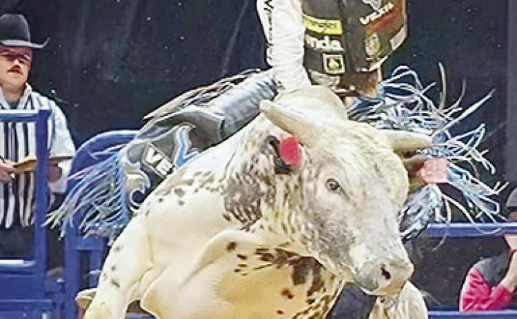 Arapaho’s own Wacey Schalla holds on for dear life as he performs during the bull riding portion of the recent PRCA Rodeo in Las Vegas, Nev. CDN | Courtesy photo