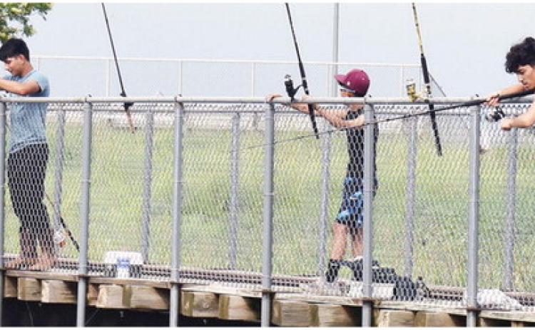 Gone fishing
