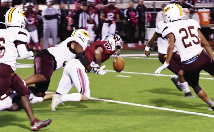 CHS gives Eagles goose egg