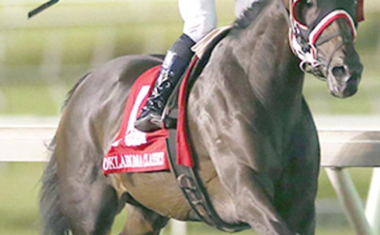 Absaroka wins Horse of the Year award