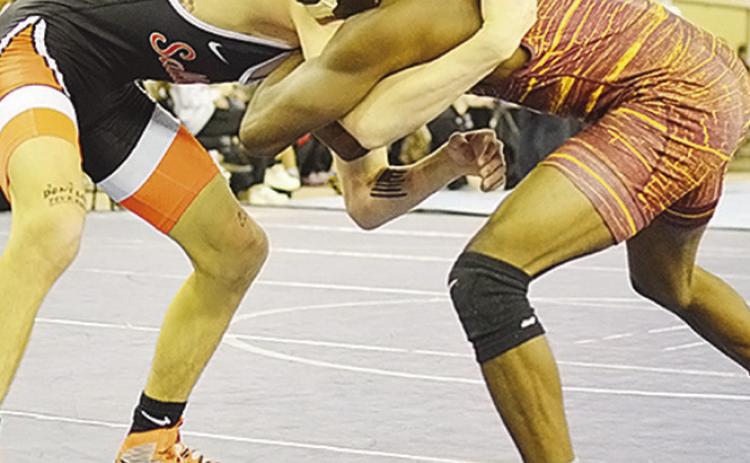 Two take third at state wrestling tourney